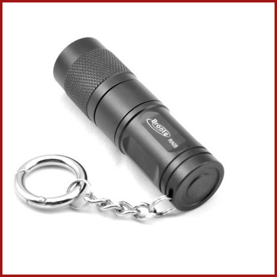 170 Lumen Keychain LED Flashlights (RA05)