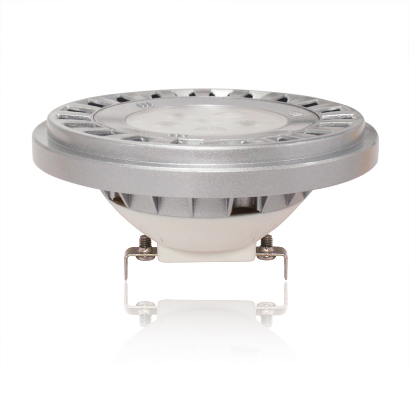 LED PAR36/AR111 Landscape Spotlight with IP67