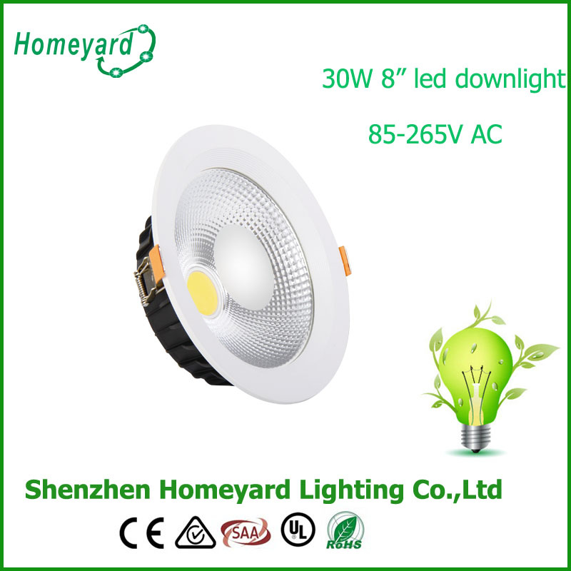 8inch 30W COB LED Downlight/COB LED Down-Light