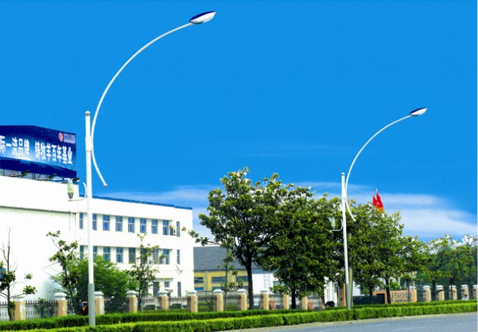 Outdoor LED Street Light