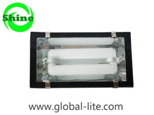 (TL-5103) Energy Saving Induction Tunnel Light