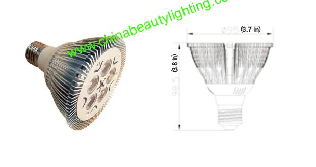 Input Power/ 5W LED PAR30 LED Bulb/LED Light