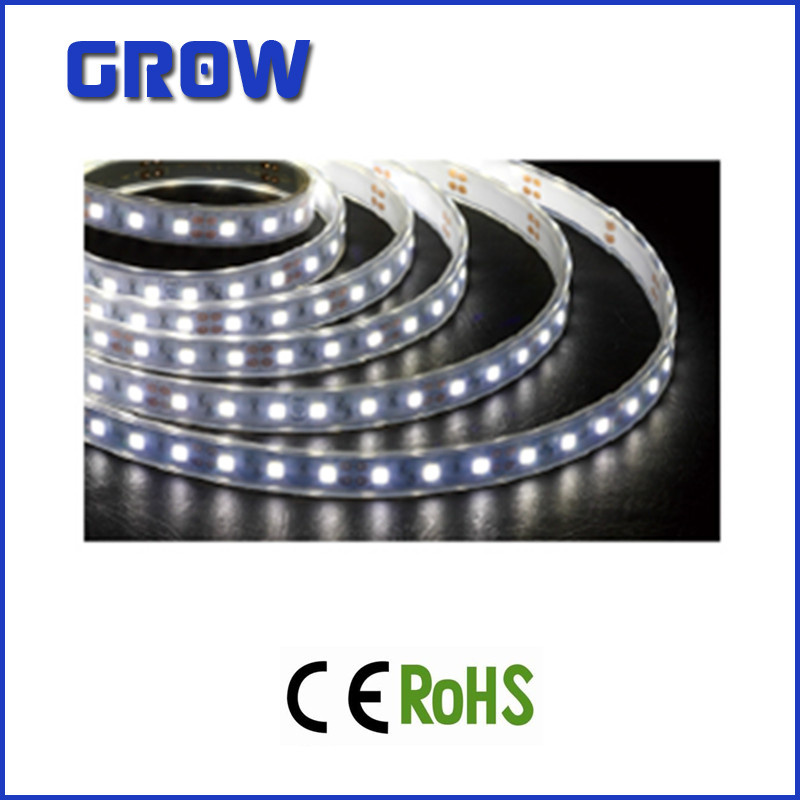 28.8W DC12V/24V LED Strip Light (GR5050-120)