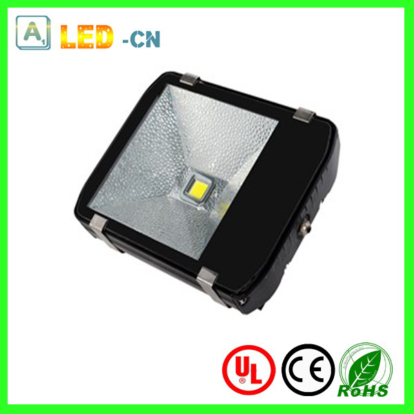 Floodlight 1*100W High Power LED Garden Light