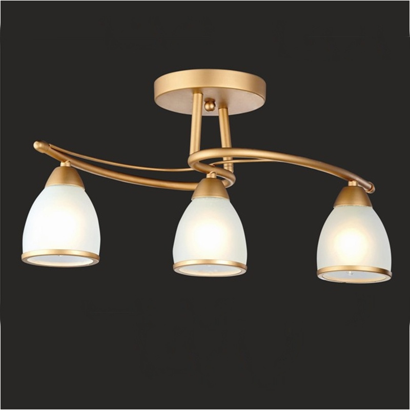 Chandelier Ceiling Lamp Down Lights