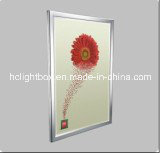 Advertising Display LED Slim Light Box