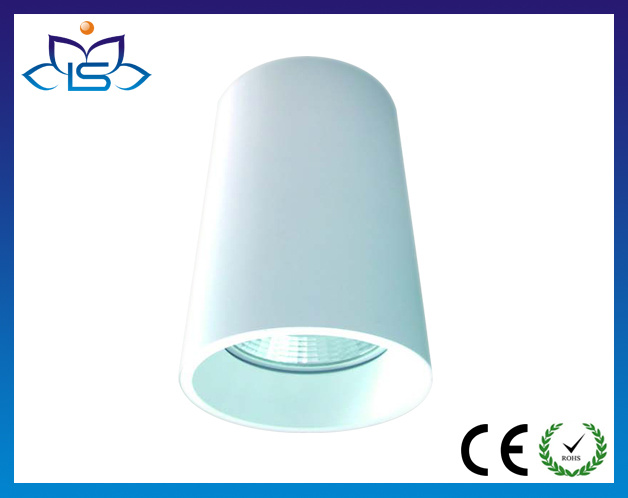 50W Citizen COB LED Downlight Surface Mounted Down Light