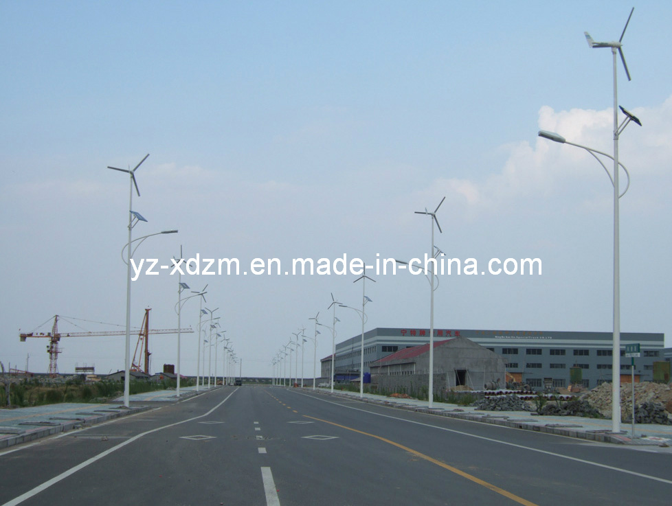 10m 80W Saving Energy Solar Wind Hybrid LED Street Light