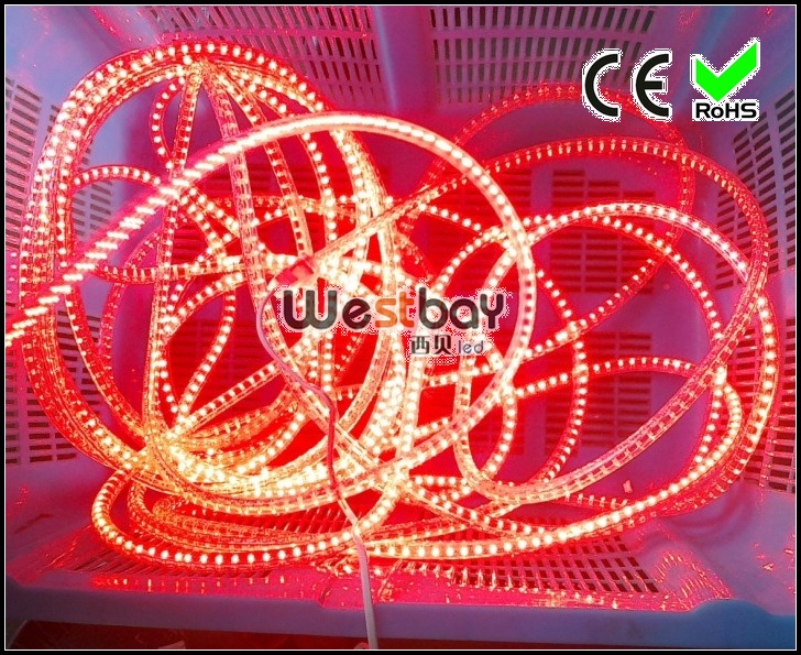 5050 SMD Flexible LED Strips Lights / LED Christmas Light