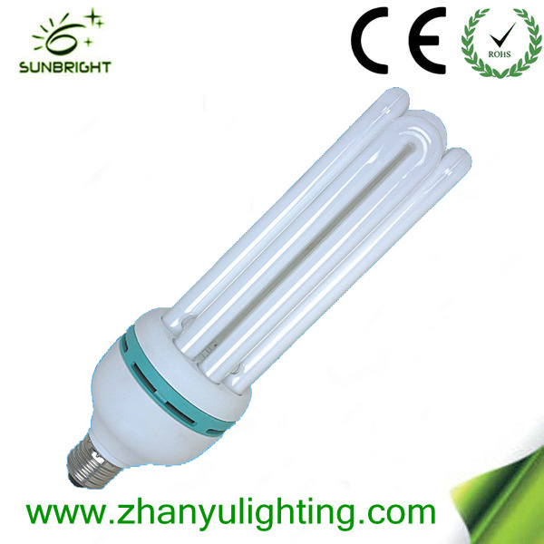 CE RoHS 4u Fluorescent Light