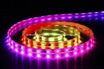 SMD 5060 Artificial Intelligent Flexible Strip-32 LEDs/M IP68 LED Light