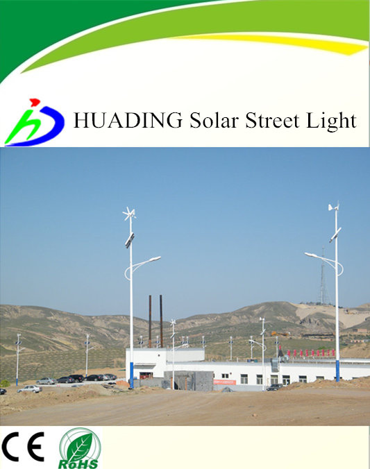 Bamboo Leaf 60W LED Solar Street Light