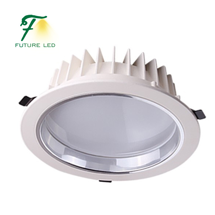 30W 8inch Round LED Down Light