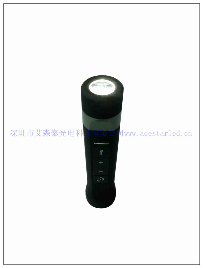 Super Bright LED Flashlight (Electric Torch)