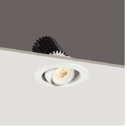 Round Tiltable 7W Citizen LED Down Light (R3B0103)