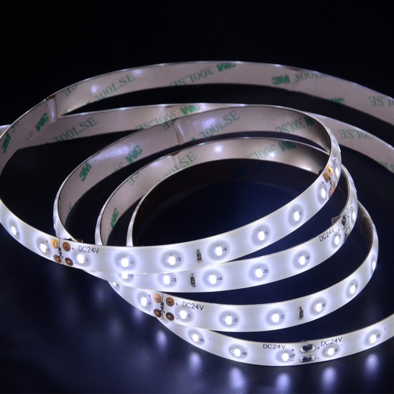 Waterproof SMD3014 LED Strip Light 12W/M with High Brightness