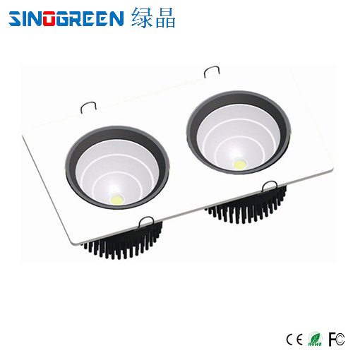 2013 Hot LED Down Light (LJ-TD013)