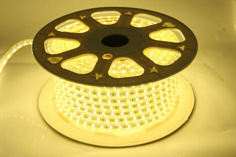 DMX IP68 Waterproof Swimming Pool LED Strip Light