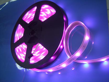 5050 3528 SMD Waterproof RGB LED Flexible Strip Light