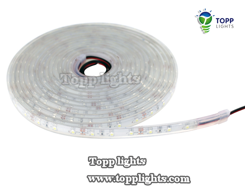 Jade Series 6500k LED Strip Lights (TP-J3528-60-W)