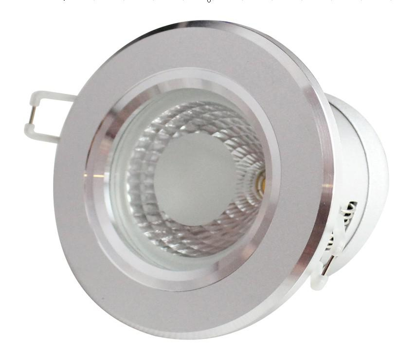 3W COB LED Down Light