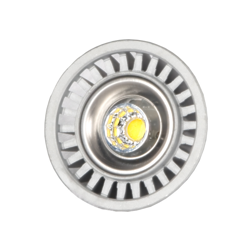 LED Spotlight (LO028)