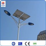 2014 Hot Sale 30W 12V Prices of Solar Street LED Light