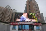 P20mm Outdoor Full Color LED Display / LED Display