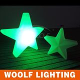 Outdoor LED Shooting Star Christmas Lights