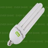 5u Fluorescent Light