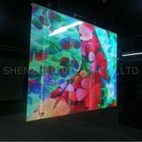 Display Panel Video Rental LED Display for Outdoor (P12/20mm)