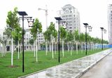 LED Solar Garden Light Garden Light LED