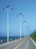 5 Years Warranty Common Design 30W-180W Solar Street Light