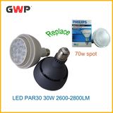 E27 30W LED PAR30