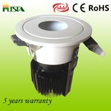 Customized 9W LED Down Light (ST-WLS-A04-9W)