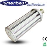 360 Degree High Lumen 100W LED Landscape Garden Light