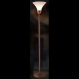 Waltz Iron Poly Floor Lamp (BP9062)