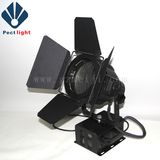 250W Exhibition Stage PAR Light