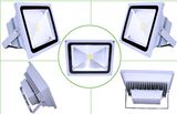 50W Super Long Life 5 Years Warranty LED Outdoor Light