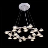 Flower Modern LED Decorative Indoor Pendant Lamp (HS30192D-24)