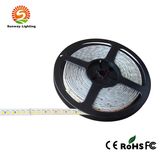 5050SMD RGB Flexible LED Strip Light (120LEDs/m, DC12V/24V)