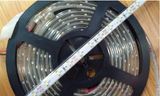 LED Strip Light 3528SMD IP68