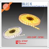 Warm White/White 5730-60 LED Strip Light