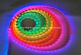 SMD 5060 Artificial Intelligent Flexible Strip-36 LEDs/M IP66 Outdoor Light