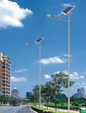 Wbr0021 40W Single Lamp LED Street Solar Light