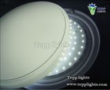 SMD5050 15W LED Ceiling Light (TP-CL-15)