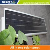 5W Solar LED Garden Light