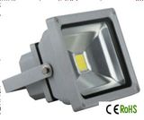 LED Flood Light 1010