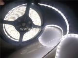 Waterproof 12 Volt LED Strip Light