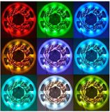 Best Price Waterproof 5050SMD Stock RGB LED Strip Light